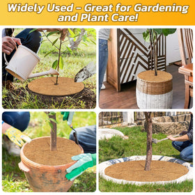 Legigo versatile garden ring for indoor and outdoor plant displays.
