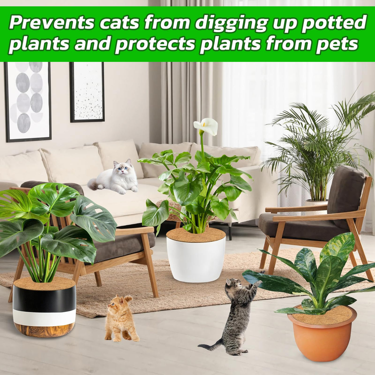 Legigo garden nursery protector ring supports moisture and neat displays.