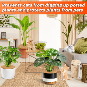 Legigo garden-nursery use demonstrates versatile protection for indoor and outdoor plants.