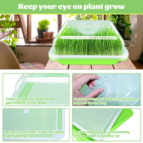 Legigo germinating paper included supports even spread for quick, uniform germination.