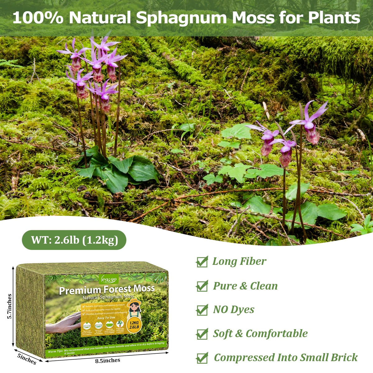 Legigo green orchid moss in pot supports moisture-loving plants with lush growth.