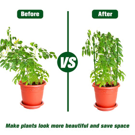 Legigo green cage with smooth surface enhances garden aesthetics