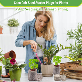 Legigo hydroponics-ready seedling plugs for greenhouse use