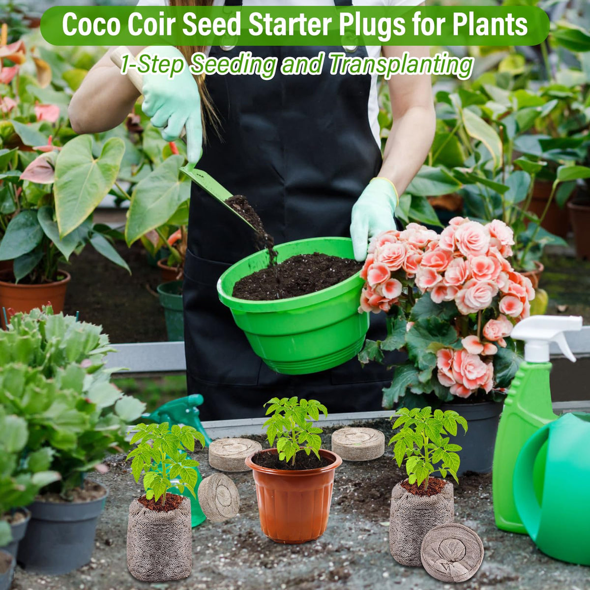 Legigo hydroponics-ready seed starter pellets for nursery and greenhouses.