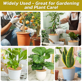 Legigo decorative mulch ring enhancing indoor and outdoor plant displays