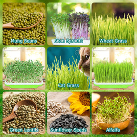 Legigo indoor-outdoor sprouting tray adapts to any space.