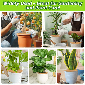 Legigo indoor outdoor ring keeps plants tidy and hydrated