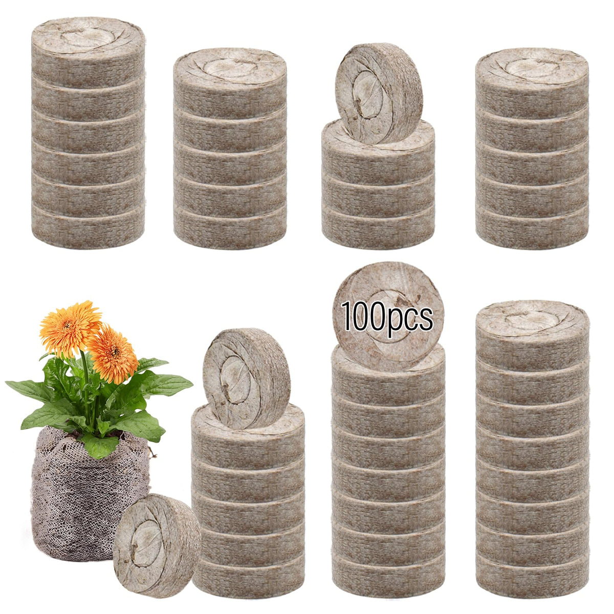 Legigo kid-friendly gardening with mess-free seed starter pellets