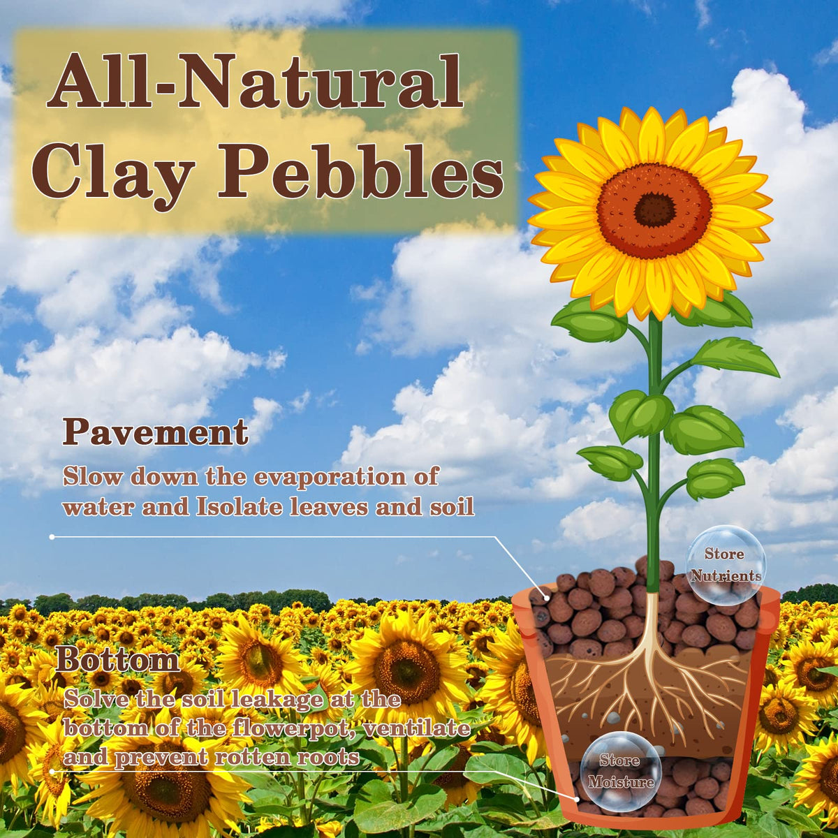 Legigo Leca pebbles in pot promote drainage and healthier roots.
