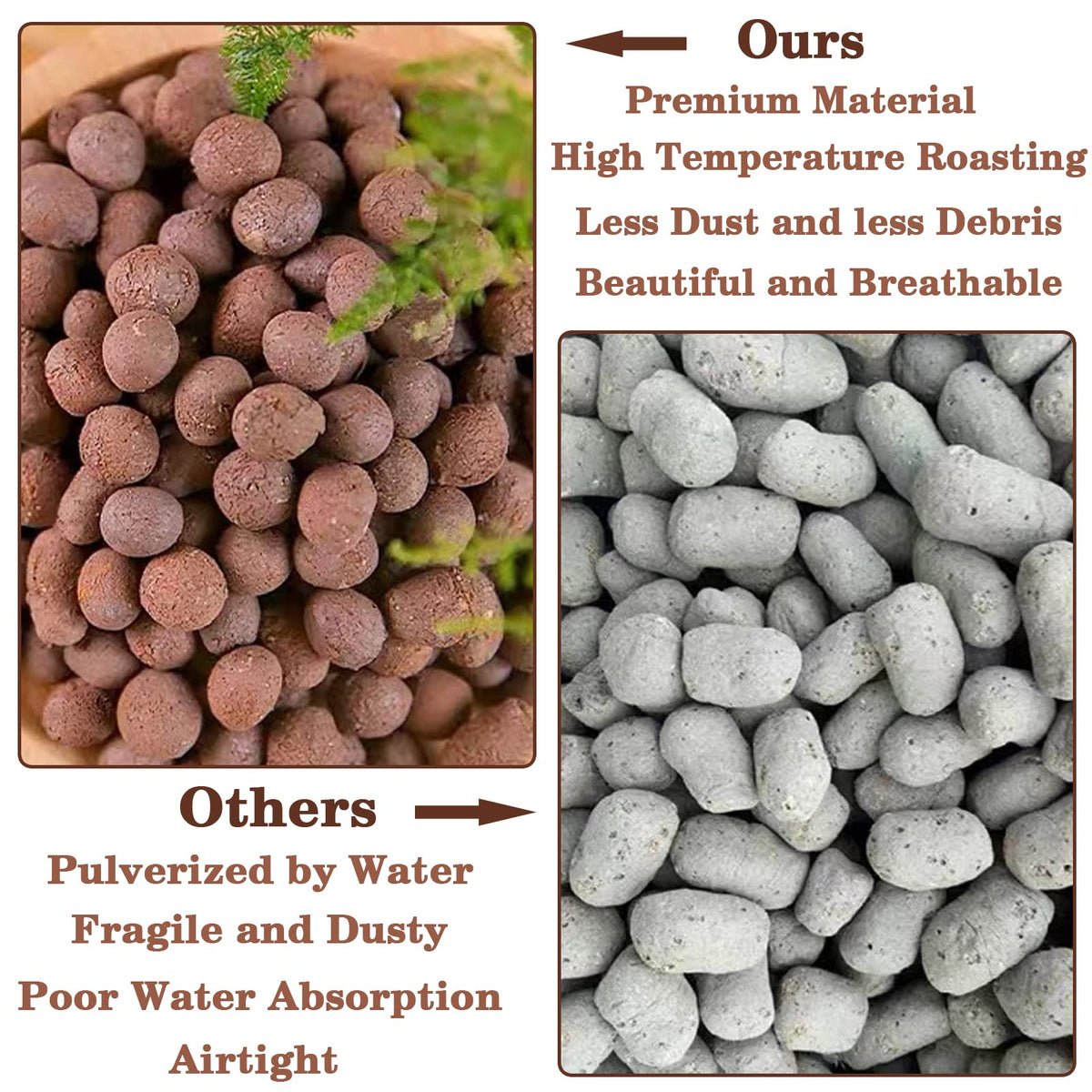 Orchid substrate: Legigo Leca pebbles balance moisture for orchids.