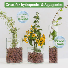 Legigo Leca pebbles serve as orchid substrate and terrarium drainage solution.
