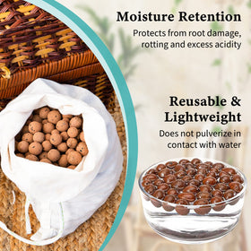 Legigo Leca in orchid substrate promoting balanced moisture and root health
