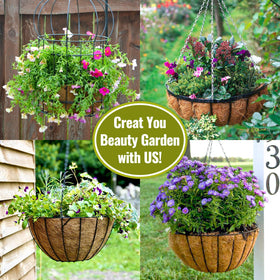Legigo liner in balcony garden illustrating moisture retention.