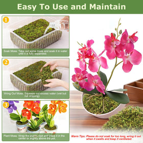 Legigo long-fiber moss hygroscopic traits retain moisture for tropical plants.