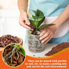 Legigo orchid bark substrate chips highlighted for lasting growing medium