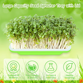 Legigo microgreens setup suitable for indoor cultivation of greens.