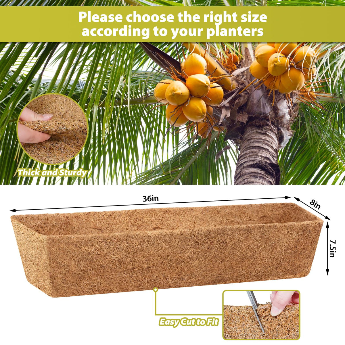 Legigo moisture-retention coir liner, keeps soil hydrated and plants happy.