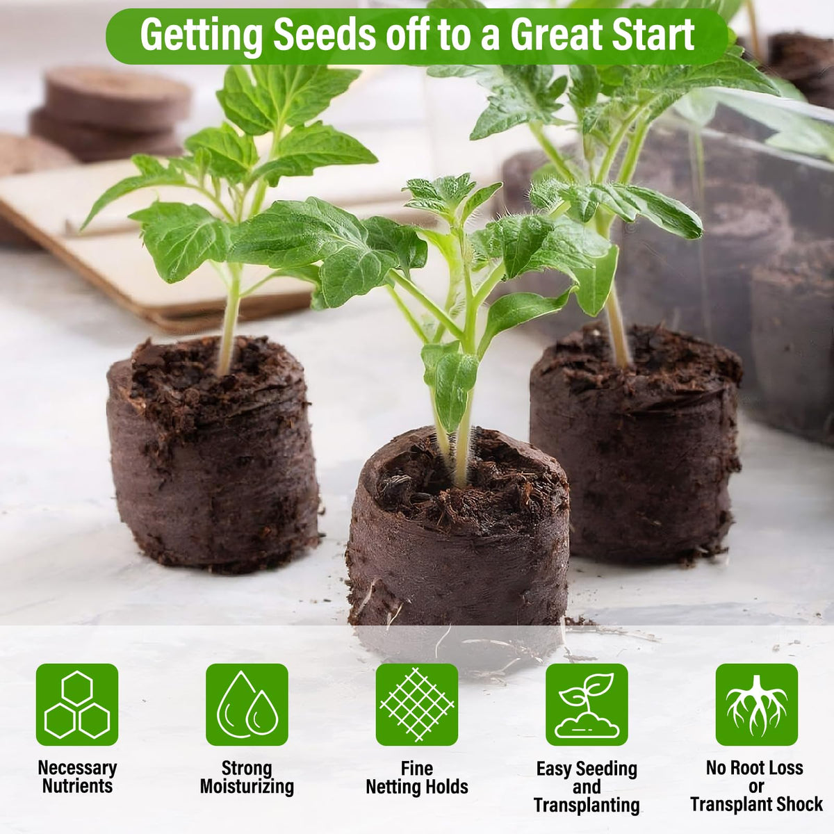 Legigo moisture-retention coco coir pellets keep seedlings hydrated longer.