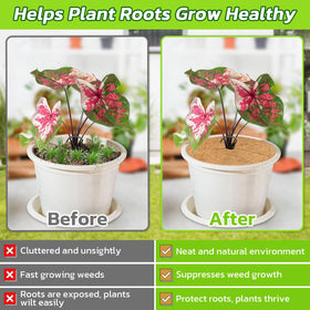 Legigo 14-inch ring in a planter demonstrates moisture retention for longer hydration