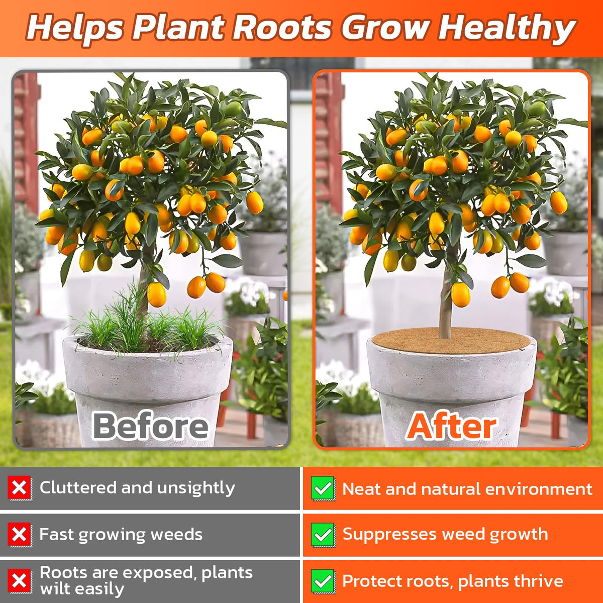 Legigo moisture-retention mat for potting soil helps maintain consistent humidity.