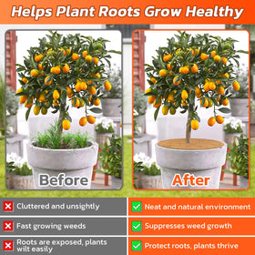Legigo moisture-retention mat for potting soil helps maintain consistent humidity.