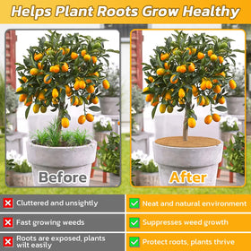 Legigo moisture-retention mat helps soil stay evenly moist.