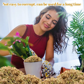 Legigo layering moss decor for plant displays