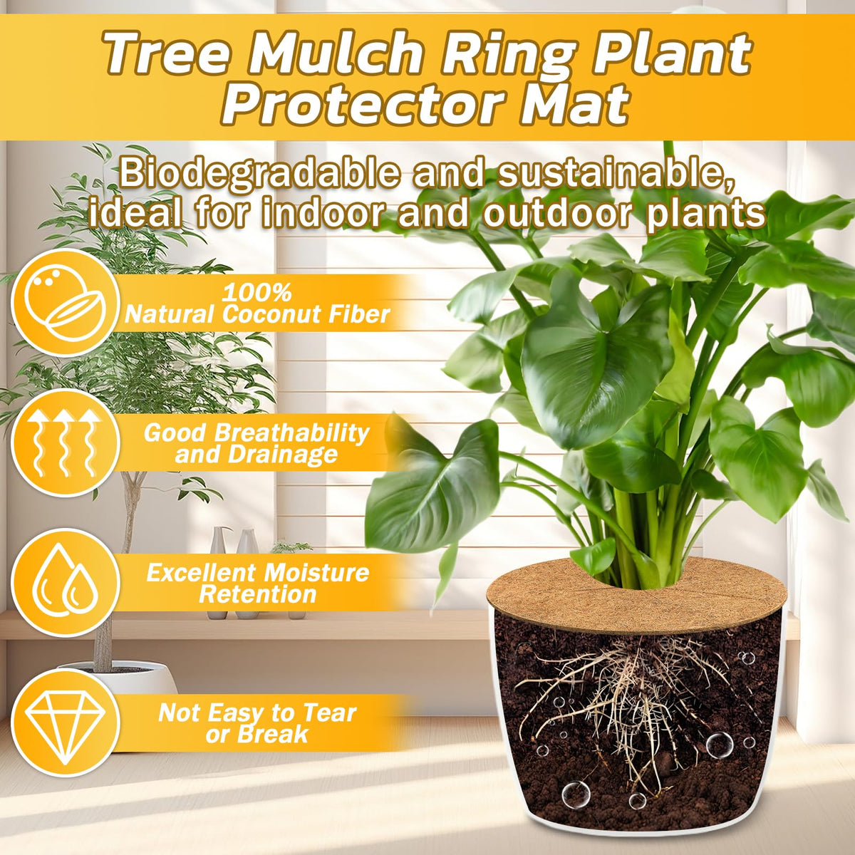 Legigo mulch ring around plant pot reduces weeds and keeps soil tidy.