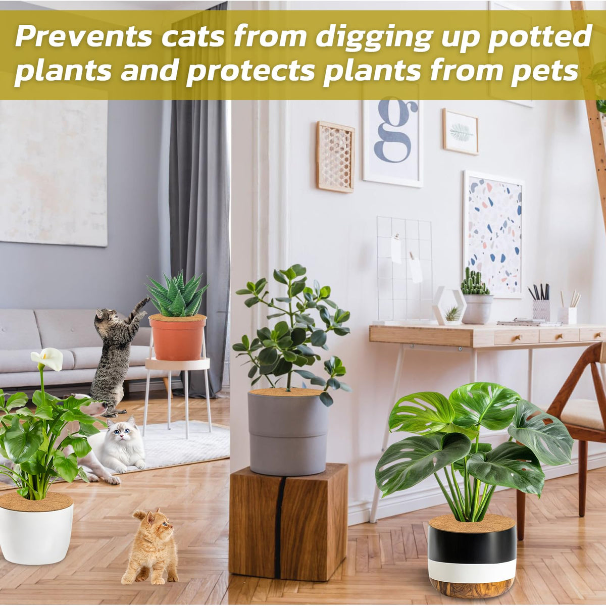 Legigo coco fiber rings used in nursery and balcony garden settings