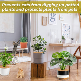 Legigo coco fiber rings used in nursery and balcony garden settings