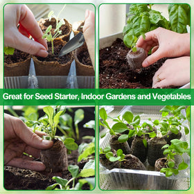 Legigo nursery tray compatibility photo shows versatile use in common seedling setups