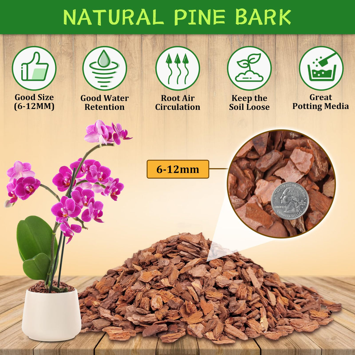 Legigo orchid bark closeup texture highlights natural pine bark for roots.