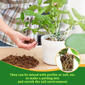 Legigo orchid bark suitable for epiphytic orchids like Phalaenopsis.
