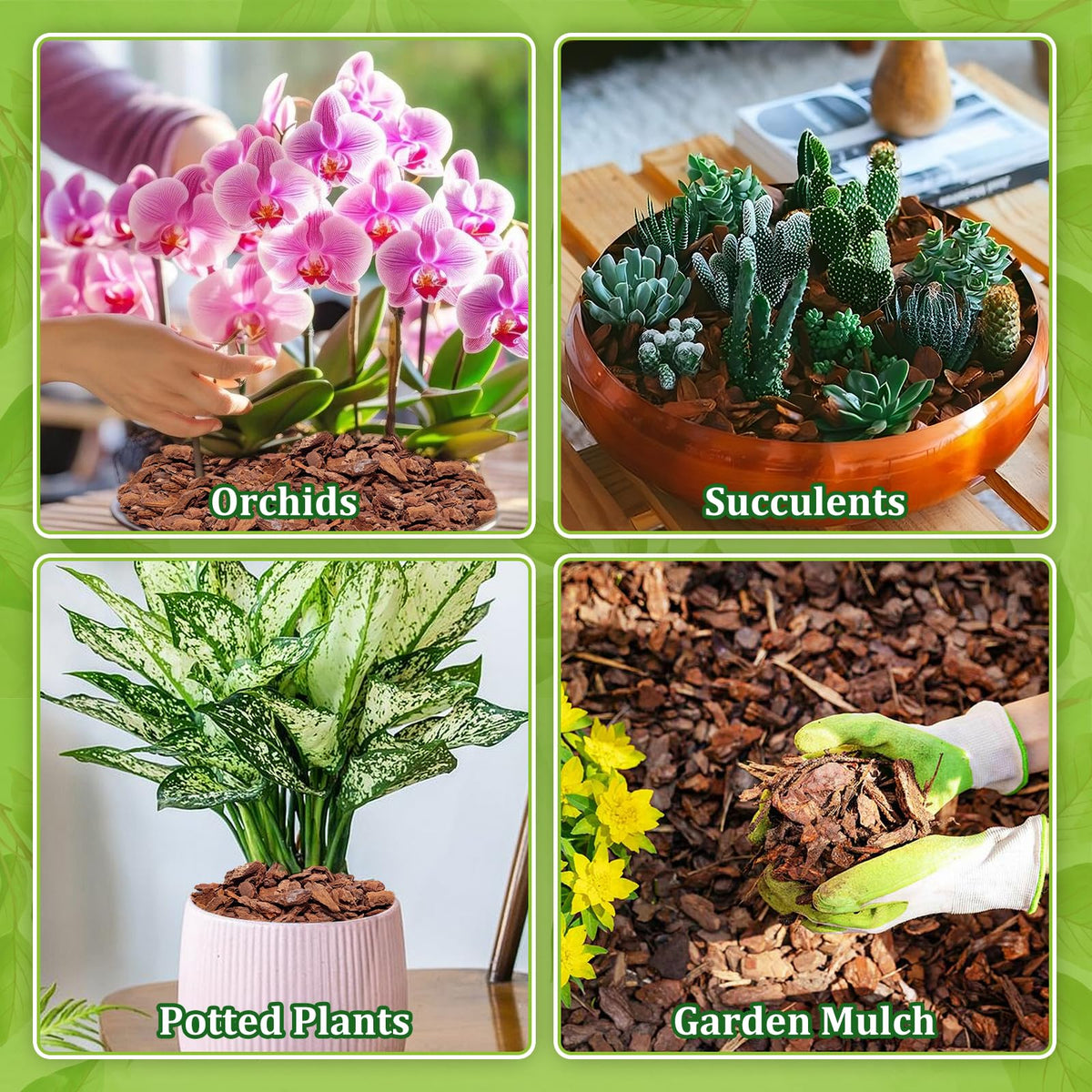 Legigo orchid bark ideal for epiphytic orchids like Phalaenopsis.