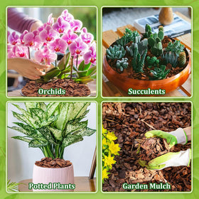 Legigo orchid bark ideal for epiphytic orchids like Phalaenopsis.