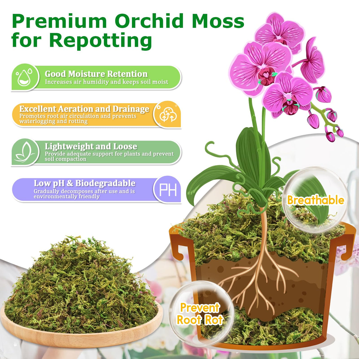 Legigo orchid moss in pot demonstrates improved drainage and air flow