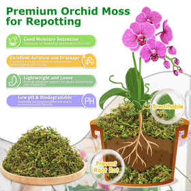Legigo orchid moss in pot demonstrates improved drainage and air flow