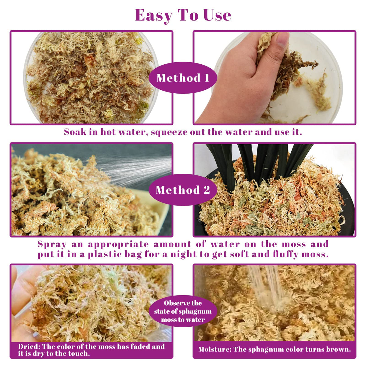 Legigo orchid moss keeps orchid roots moist and ready to root.