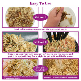 Legigo orchid moss keeps orchid roots moist and ready to root.