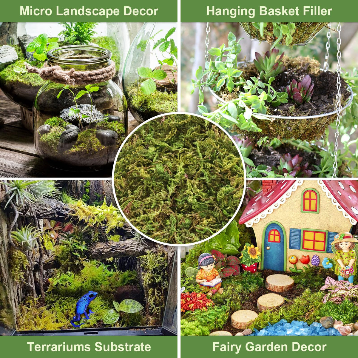Legigo orchid moss repotting environment suits ferns and tropical plants.