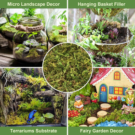 Legigo orchid moss repotting environment suits ferns and tropical plants.