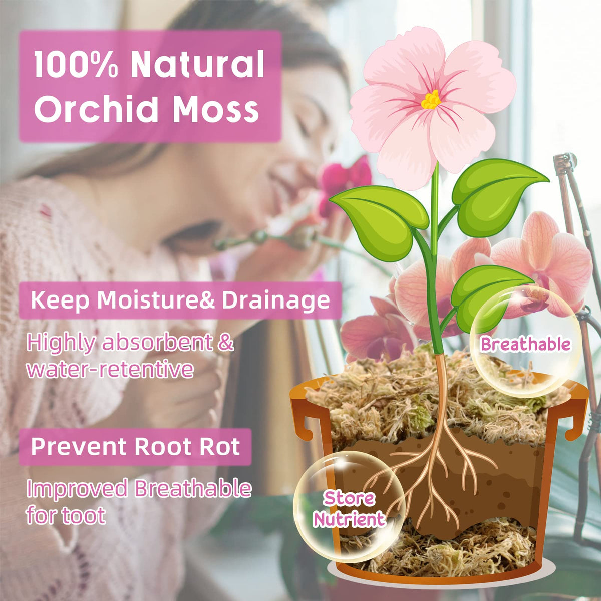 Legigo orchid moss locks roots with moisture for healthier blooms.