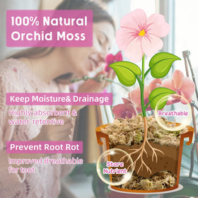 Legigo orchid moss locks roots with moisture for healthier blooms.