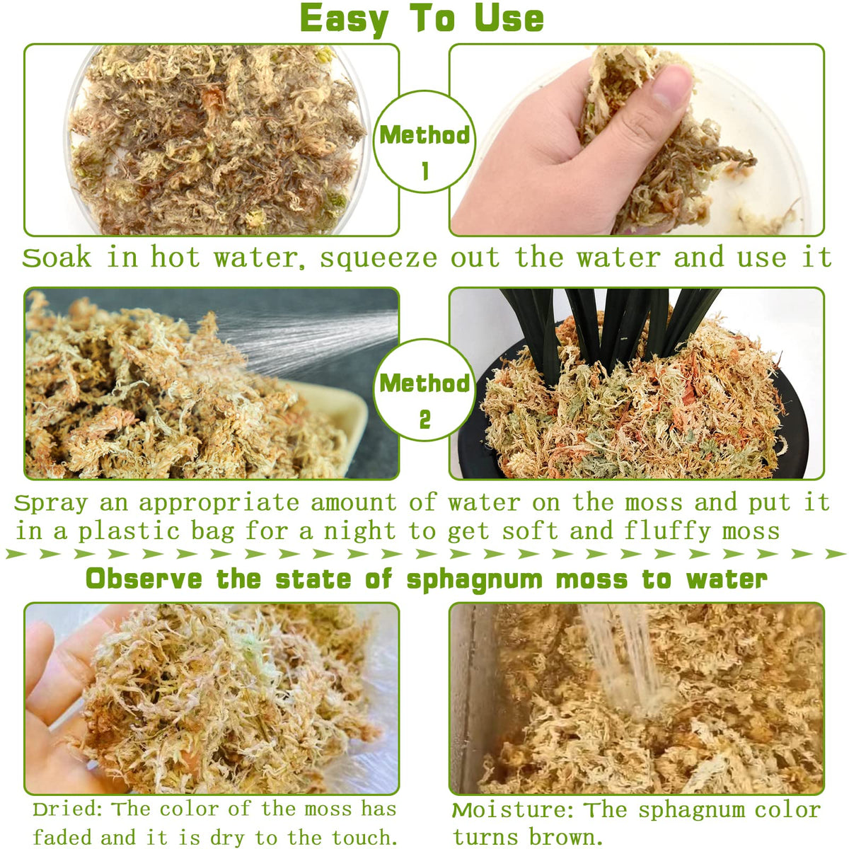 Legigo orchid moss with orchid roots supports healthy rooting and moisture