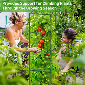 Legigo garden trellis ideal for tomatoes, cucumbers, peppers and beans.
