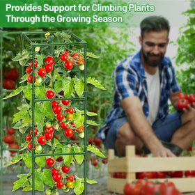 Legigo outdoor garden trellis suits tomatoes and cucumbers well.