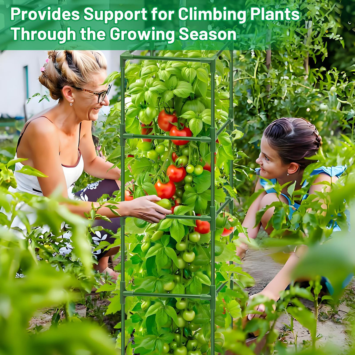 Legigo 60 inch tomato cages designed for outdoor garden use.