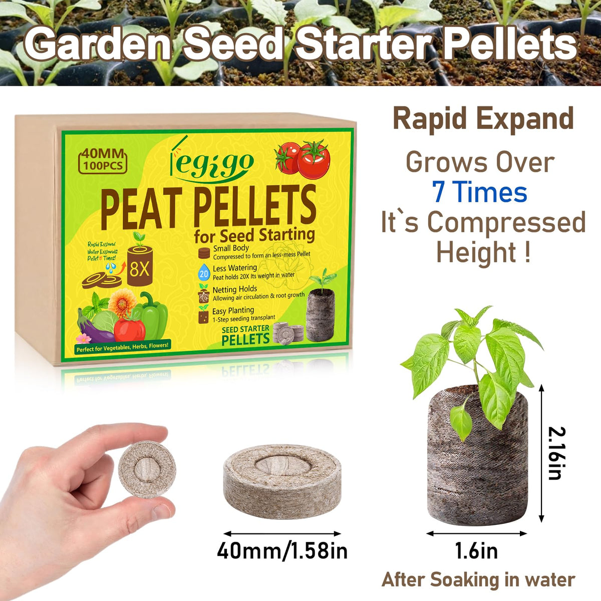Legigo peat pellets after water expansion ready for seeding and germination
