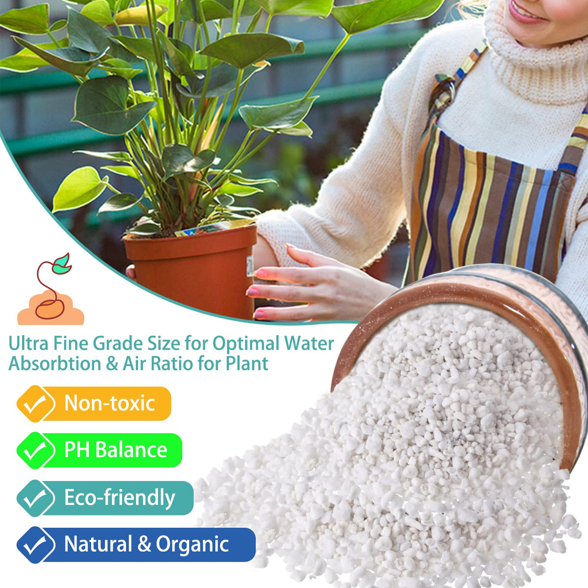 Legigo perlite for cactus soil, boosts drainage and prevents overwatering.