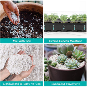 Legigo perlite ideal for cactus and succulent soil mixes